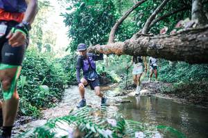 BIB: 
                            <button type="button" onclick="openModal(25439278)" class="btn btn-primary btn-sm float-right btn-popup" data-toggle="modal" data-target=".modal-high-quality">
                        <i class="fas fa-shopping-cart"></i> Add to Cart
                    </button>
                                            <button type="button" onclick="isThisMe(25439278, true)" class="btn btn-success btn-sm float-right btn-popup btn-isme hidden" data-toggle="tooltip" data-placement="bottom" title="นี่คือรูปของคุณใช่ไหม คลิกที่นี่เพื่อเอาเข้าอัลบั้ม">
                        <i class="fas fa-plus"></i> Add to album
                    </button>
                    <button type="button" onclick="isThisMe(25439278, false)" class="btn btn-warning btn-sm float-right btn-popup btn-isnotme hidden">
                        <i class="fas fa-ban"></i> Remove from album
                    </button>